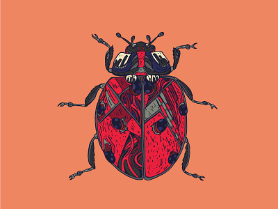 Ladybug | Creature Collection abstract alien bug color drawing illustration insect ladybug metal ornate pattern