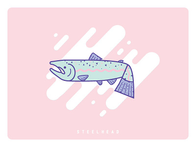 Steelhead canada creature enviroment fish freshwater illustration line art line logo morse shade nature ocean oregon oregon steelhead pattern pink salmon sealife steelhead vector water