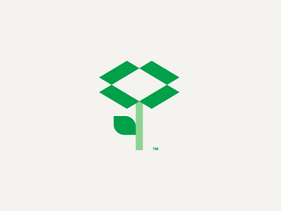 Flower + Box Logomark branding design identity logo