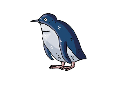 Penguin animals bird children culture illustration illustrator kids new zealand penguin