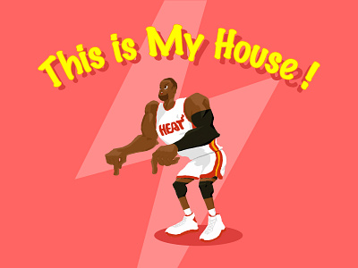 D. Wade - this is my house 3 dwade flash nba wade