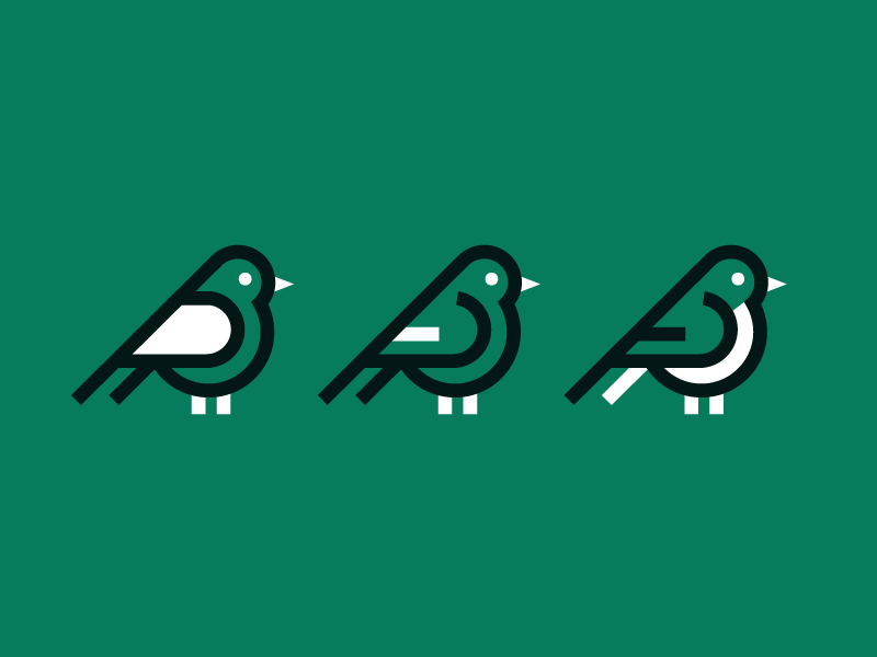 Variations bird geometric icon