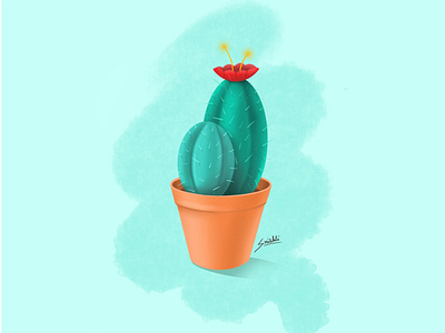 Cactus cactus illustration fine arts gradient iconography illustration procreate ui illustration