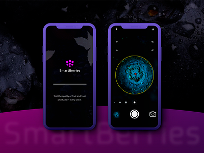 SmartBerries App aplication app berries mobile purpure smart ui ux