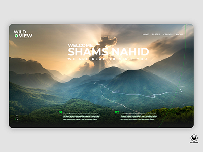 Wild View Web Design