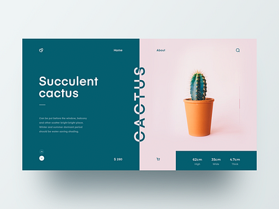 Cactus design web web design 设计
