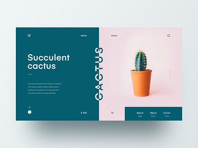 Cactus