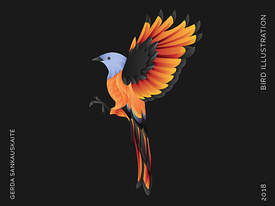 Bird Illustration art design gradient graphic design icon illustration