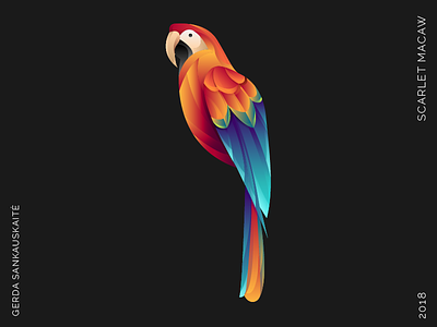 Scarlet Macaw art design gradient graphic design icon illustration