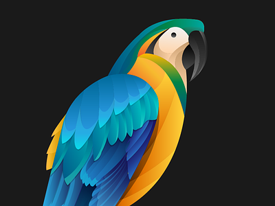 Blue and Gold Macaw detail shot art design gradient graphic design icon illustration
