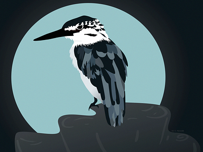Moon Bird bird illustration design illustration photoshop vector artwork vector illustration
