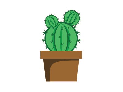 Cactus plant on pot