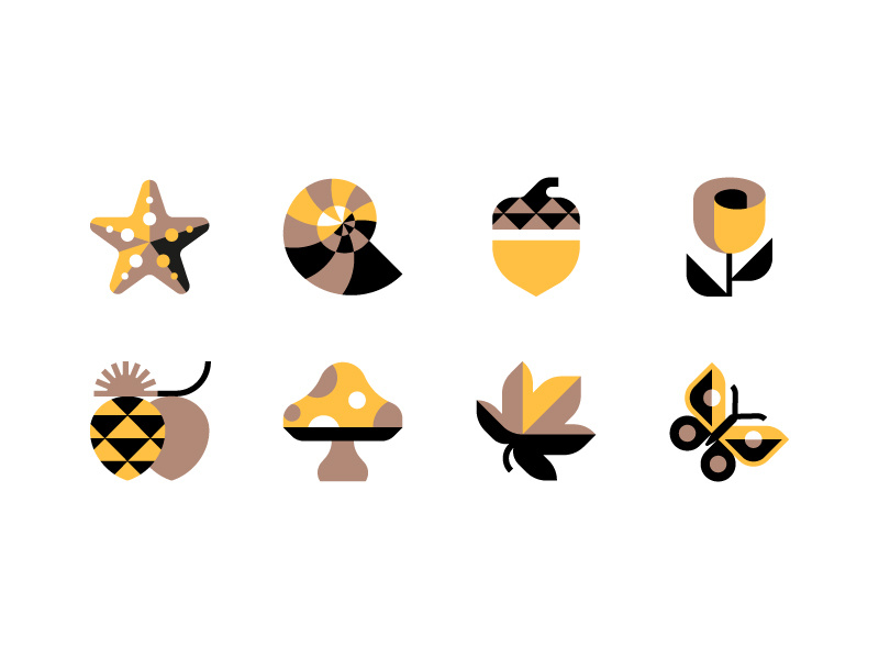 Flora & Fauna fauna leaf pinecone starfish acorn butterfly shell flower nature mushroom flora