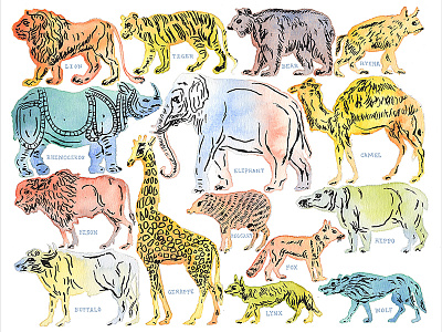 Watercolor Zoo Animals animals bright elephant fox giraffe illustration informational painting watercolor wolf zoo