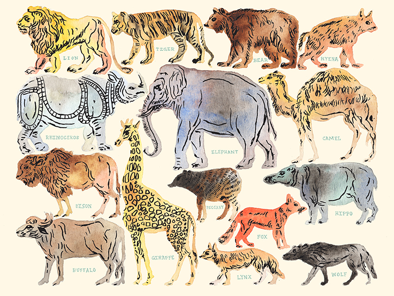 Zoo Animal Watercolor Muted by Lizzy Dee Studio on Dribbble