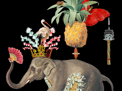 Elephant Collage