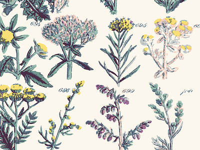 Floral Print Pattern