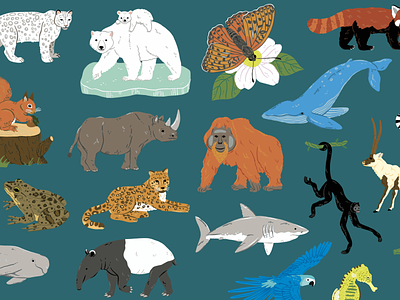 Endangered Animals Illustrations