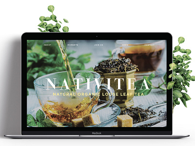 Nativitea branding design graphic design ui ux