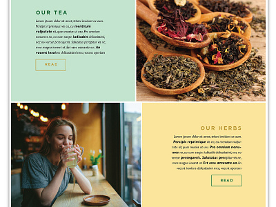 Nativitea branding design graphic design ui ux