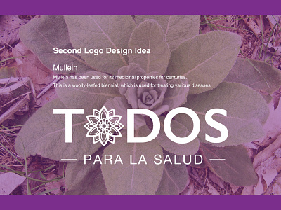 Todos brand branding design graphic design logo