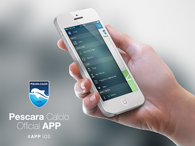 Case Studie Pescara Calcio apllication app app design blur camera clean flat icons ios7 mobile simple