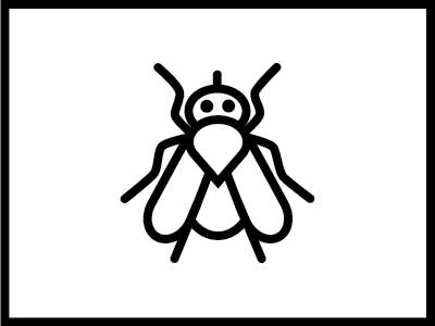 Fly design fly illustration insect pictogram rosie hardwick