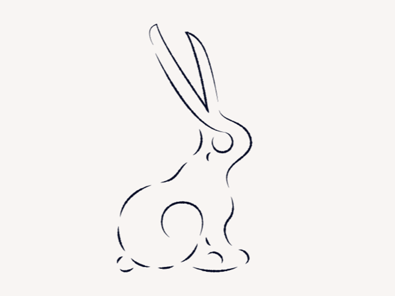 𝕙𝕒𝕣𝕖 after affects animated logo animation barbershop branding bunny concept design designer gif hair hare illustration line art linework logo logo 3d logo animation rabbit texture