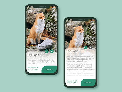 Daily UI #006 - User profile animal app charity dailyui dailyui 006 dailyuichallenge design donations fox green shelter ui uidesign