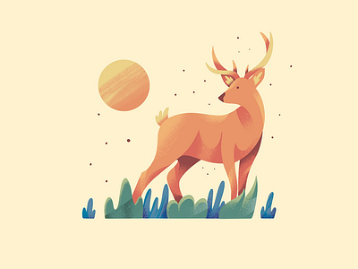 Deer