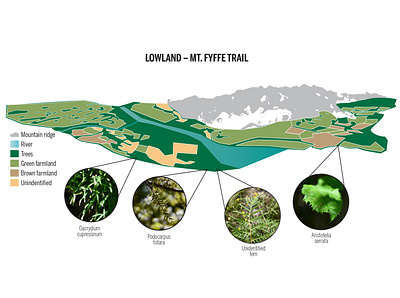 Kaikoura Land Use Map adobe illustrator editorial design map photography