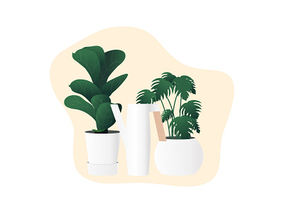 Plant 插图 设计