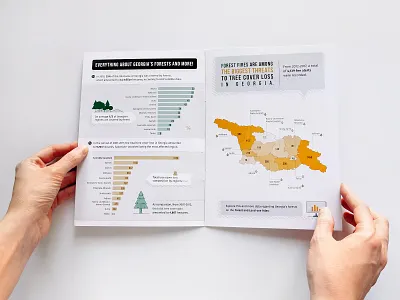 Brochure Design barchart broshure card data design forest georgia georgian icon illustraion illustration illustrator piechart typography vector visualization woman