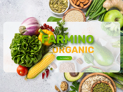 Farmino – Organic Food Website Design animation design food graphic design merkulove organic ui ux