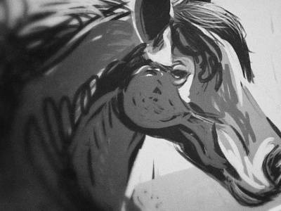 Horse sketch animal black digital horse ipad sketch white