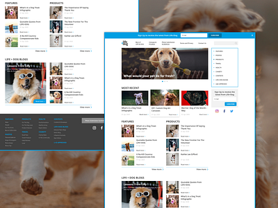 Life and Dog Website Design animals design dog dogs homepage homepage design pet pets site site design sites ux ux design web webdesign website