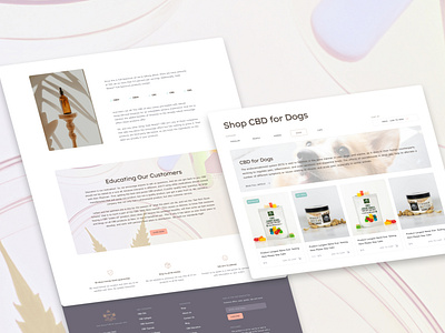 Design Concept for CBD Website