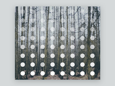 Forest abstract art circles collage decoration design minimal nature photo photography repetition white