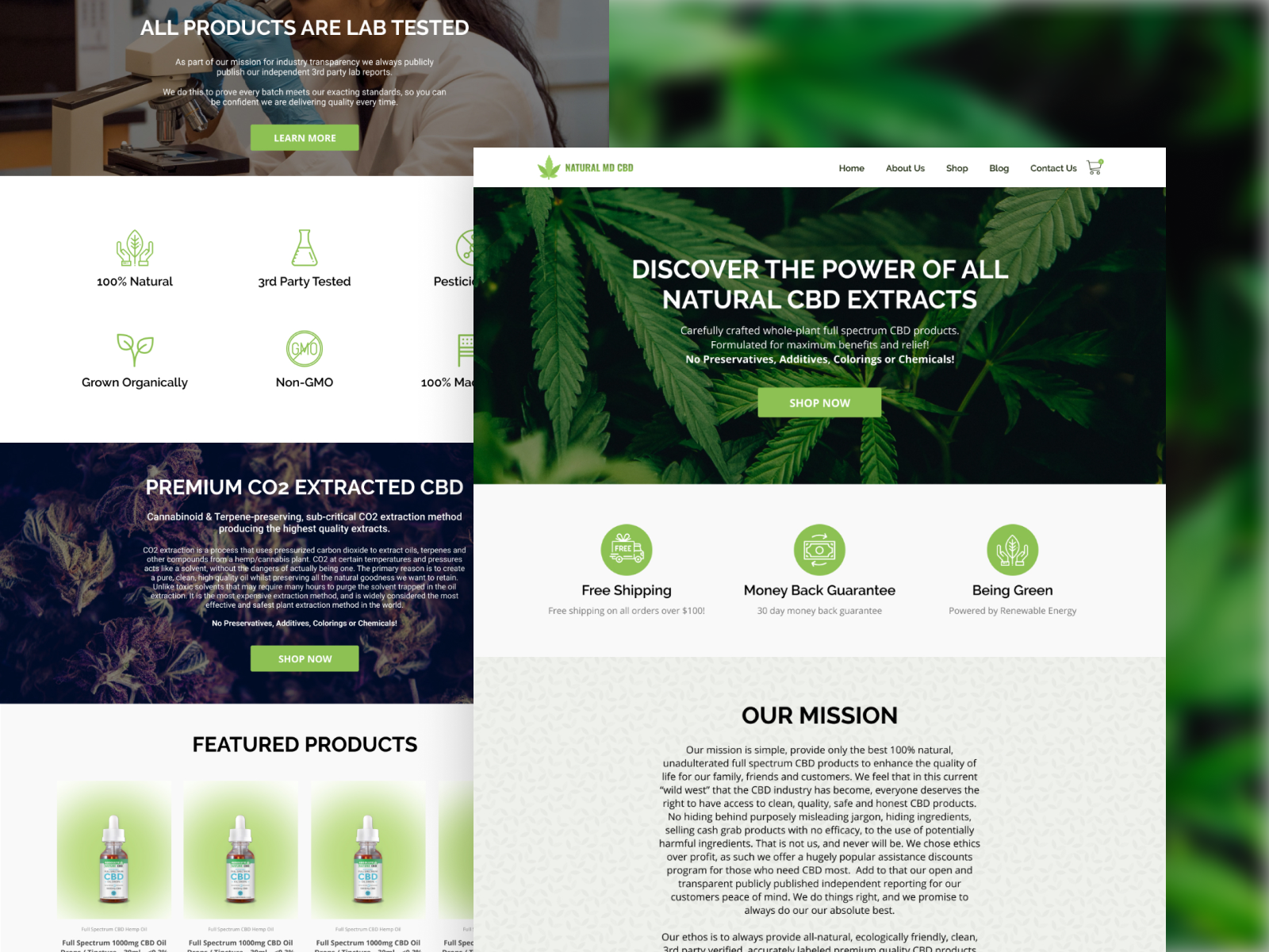 Natural MD CBD Website Design by Nikolay Pridachin for Digital Octane