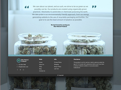 Website design for Blue Nature Product CBD Shop