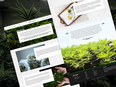 CBD Earth Web-design branding cannabis cannabis business cannabis community cannabis industry cannabis website cbd cbd website cbddesign cbdoil design hemp hempdesign hempoil interface ui ux ux designer web website