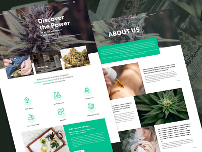 CBD Website Design for Blooming Pot