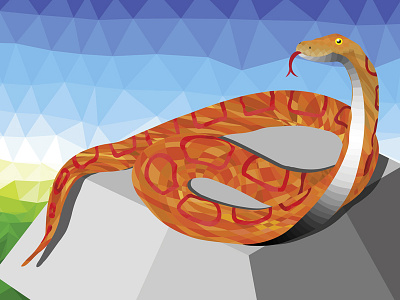 Snake Vector design graphic snake vector