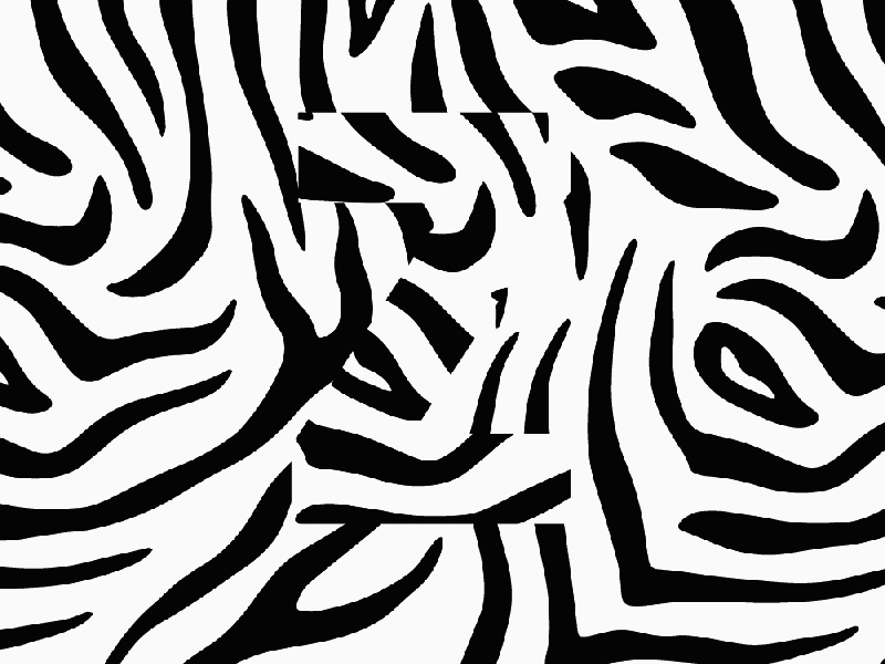 Z is for Zebra 36 days 36 days of type 36 days of type lettering letter z typedesign typography