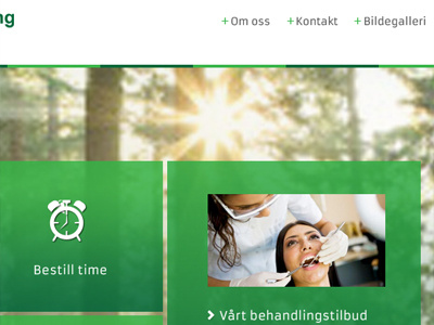 Green design eco green norway norwegian web webdesign