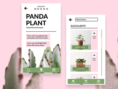 Plant Care App app design briefbox plant care