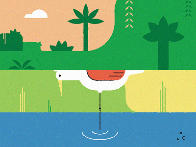 Bird animal bird egret field illustration nature palmtrees rice trees tropical vector water