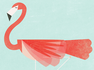 Flamingo by Patricia Mafra on Dribbble