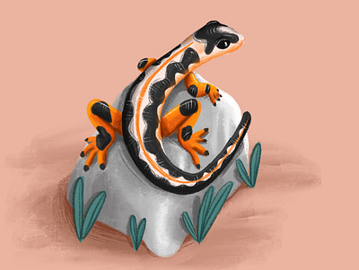 Lizyyyy animal illustration book illustration cartoon character children illustration design drawing illustration lizard