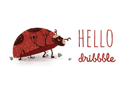 Ladybug debut design first hello hello dribbble illustration invite shot